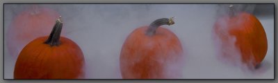 Halloween header.jpg