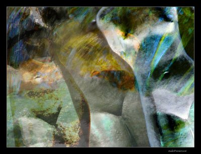 Water Nymphs