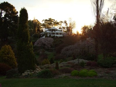 DSCF5445.jpg