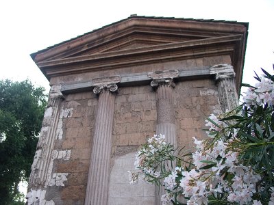 CRW_4811.jpg
