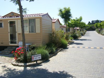DSCF6364.jpg
