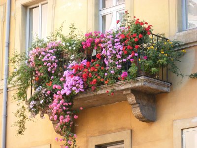 DSCF6414.jpg