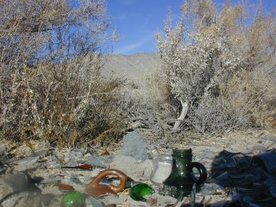 bottles, cups and saucers line the bushes