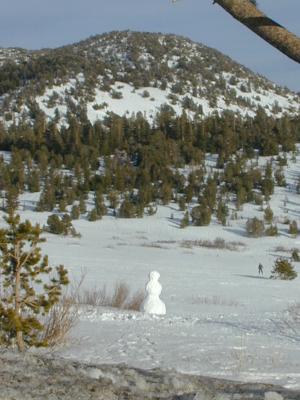 tahoe area snows