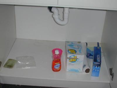 Under Sink kept simple. No need for 50 chemicals down here.