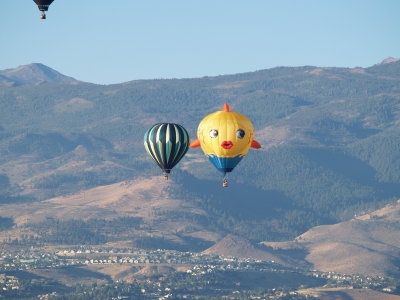 balloon race 039