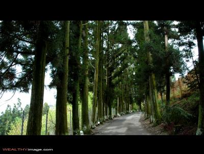 g3/84/176884/3/56935328.DSC_9033.jpg