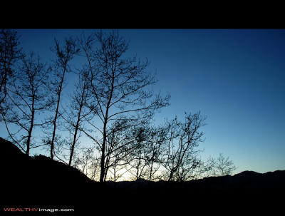 g3/84/176884/3/56935335.DSC_9077.jpg