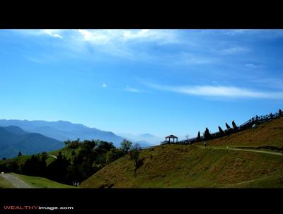 g3/84/176884/3/56935343.DSC_9105.jpg