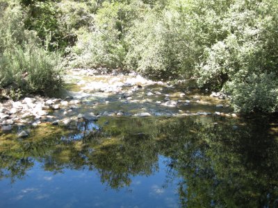 The stream by spot # 146