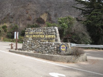 Julia Pfieffer Burns State Park is 10 miles south from our park. There was a lot of fire damage in this area .