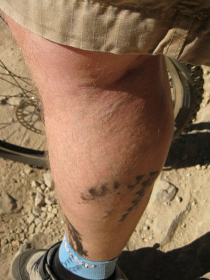 Remind me to use more chain-lube in the future....