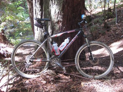 Aren't Trek bikes made in some weird part of the country?