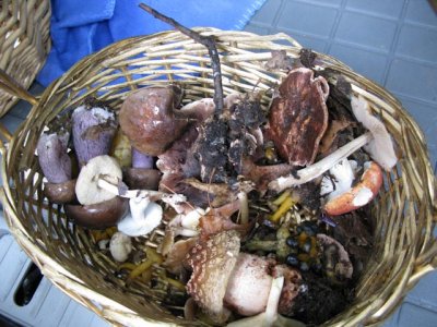 Basket1220.jpg