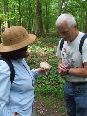 Sue and Rose looking at Tricholomopsis platyphylla0670.jpg