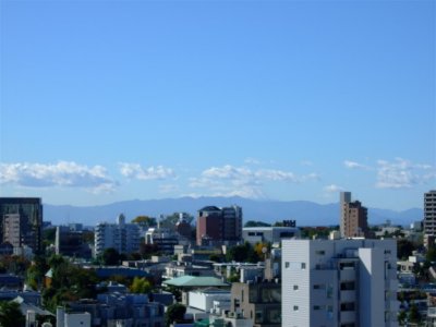 DSCF1307 (Large).JPG