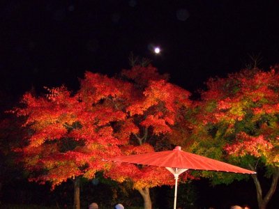 DSCF1399 (Large).JPG