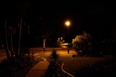 Noosa night scene_MG_4057.jpg