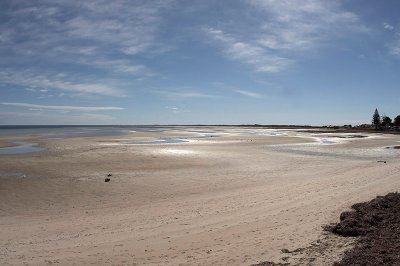 Low tide at Moonta Bay 1.jpg