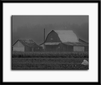 PAS_0322-1.tif