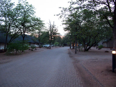 Shingwedzi Camp ~ Kruger National Park