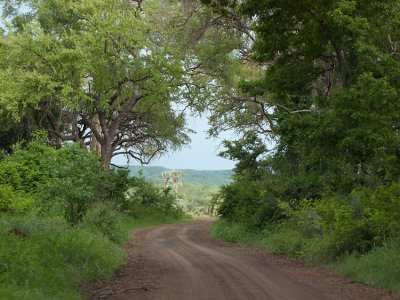 The road to Crooks Corner