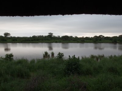 View from a hide