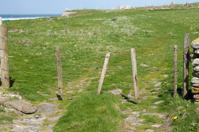 Orkney gate