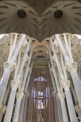 DSC_1828v2.jpg
