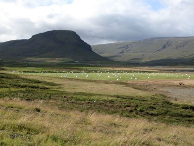 Grassland and black Mountains