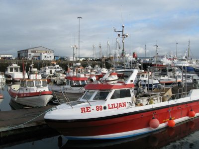 Habour of Reykjavik