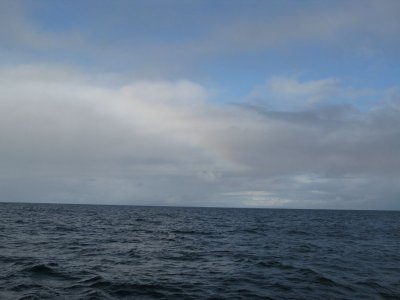 A Rainbow on the Sea - Reykjavik