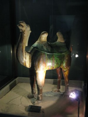 Tri-colored Camel