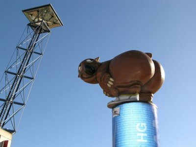 g3/84/478984/3/112867738.vdpuP3f7.jpg