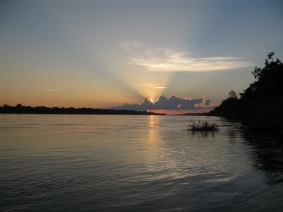 Evening Light on Amazon