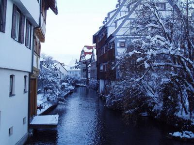 fischerviertel1.jpg