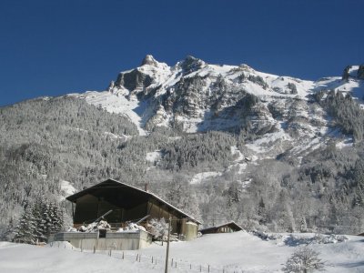 Winter in the Alps