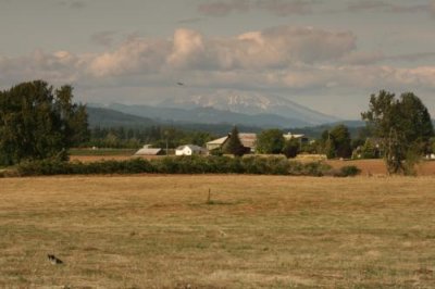 View of Mt St Helens from Battle Ground