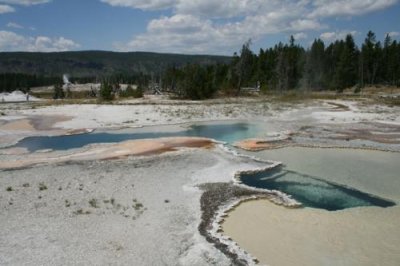 Hot springs at Yellowstone