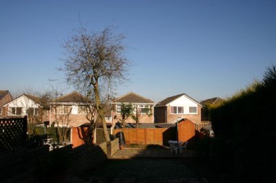 January - Frost in my back garden