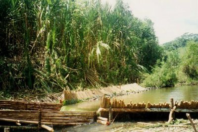 An Amazonian fish trap