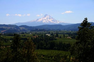 Mt Hood from the north