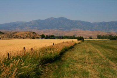 A field near Heath, Highway 71