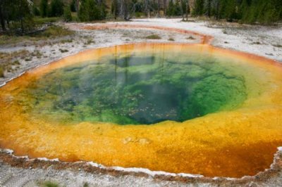 Morning Glory pool at Yellowstone