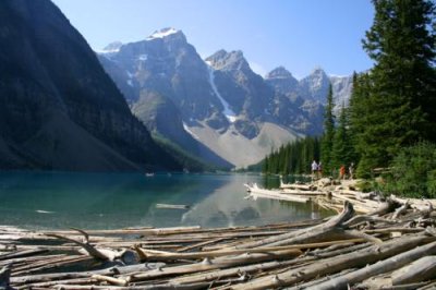 Logs on Lake Moraine