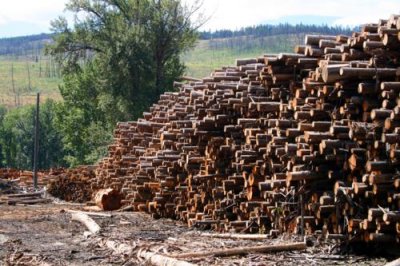 Timber stack in McLure