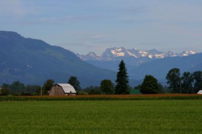 A farm near Chilliwack