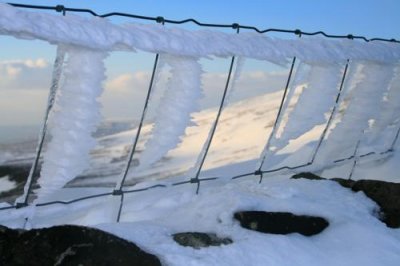 0678 fence snow closeup.jpg