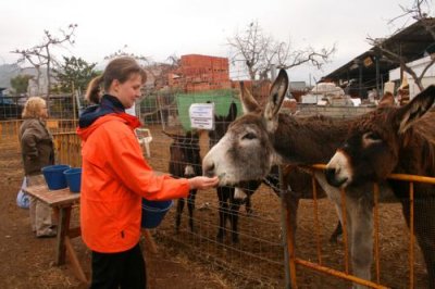Nerja donkey sanctuary