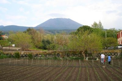 Fertile farm land below Vesuvius
